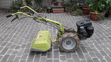 trattorino grillino