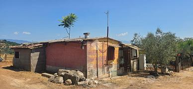 TER. AGRICOLO A SEGNI
