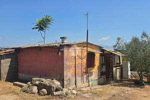 TER. AGRICOLO A SEGNI