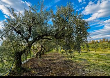 Terreno con casa da ristrutturare