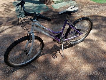 Mountain bike 24 