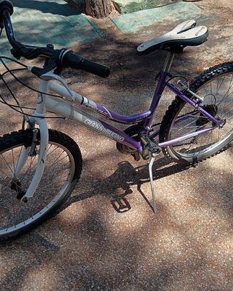 Mountain bike 24 