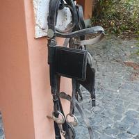  finimenti per calesse /carozza 