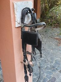  finimenti per calesse /carozza 
