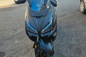 joy max 300 z