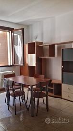 Cesena ampio bilocale annuale