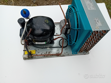 Compressore per banco frigo
