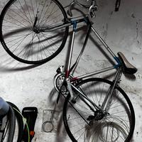 Bici da corsa Campagnolo