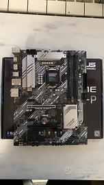Asus prime z490-p