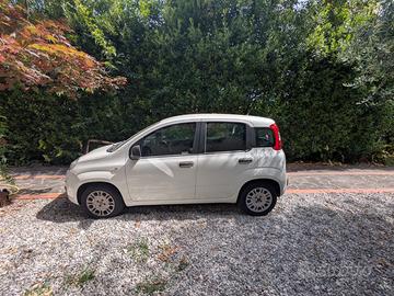 Panda easy 1.2 bianca