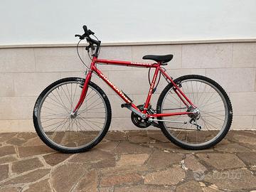 bicicletta