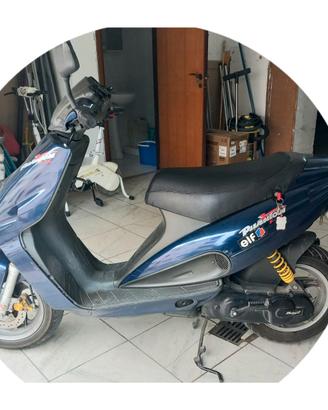 Scooter Phantom F12