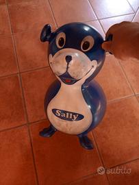 pallone salterino