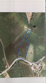 Terreno agricolo bello