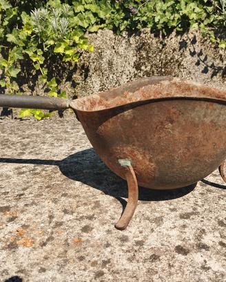 Treppiede unico esemplare di 100 anni