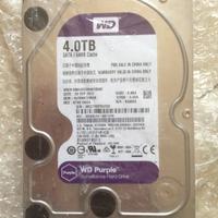 Hard Disk-Western Digital Purple da 4Tb