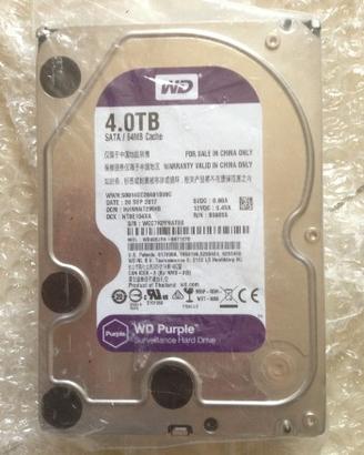 Hard Disk-Western Digital Purple da 4Tb