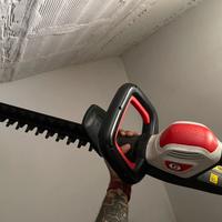 Tagliasiepi elettrica