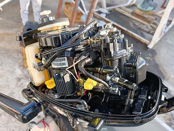 Mercury 5 hp sailpower