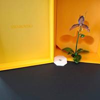 Swarovski 5721548 florere orchidea ZYQ 200037