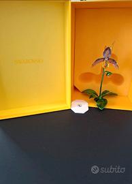 Swarovski 5721548 florere orchidea ZYQ 200037