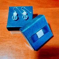 Orecchini Swarosky. MAI INDOSSATI.