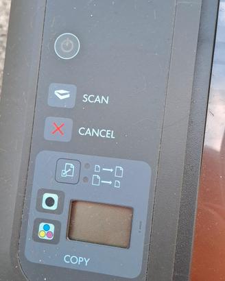 stampante hp