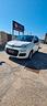fiat-panda-1-2-lounge-48-000-km-unico-proprietario