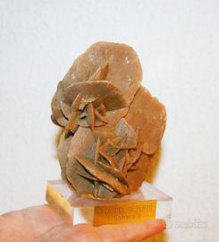 Rosa del Deserto Sahara Minerale da Collezione 
