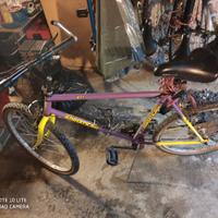 Bicicletta adriatica 