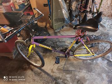 Bicicletta adriatica 