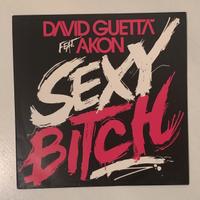 Vinile - David Guetta feat. Akon - Sexy Bitch