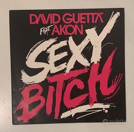 Vinile - David Guetta feat. Akon - Sexy Bitch