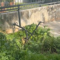 Aratro da giardino antico