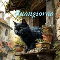 Lavoro al mattino da subito