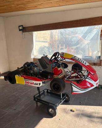 Kart Birelart 125 kz