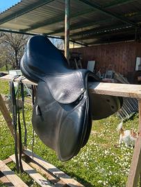 Sella equitazione