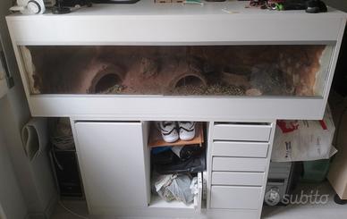 Terrario per rettili