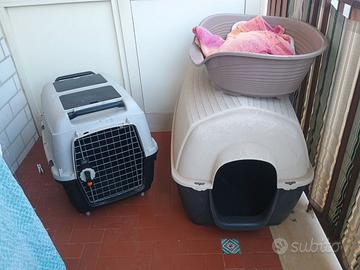 Cuccia, scodella e trasportino per cane