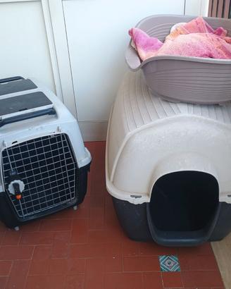 Cuccia, scodella e trasportino per cane