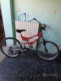 mountain bike 
