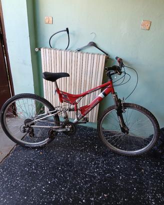 mountain bike 
