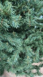 Albero di Natale Abete Artificiale Verde 1,75 cm 