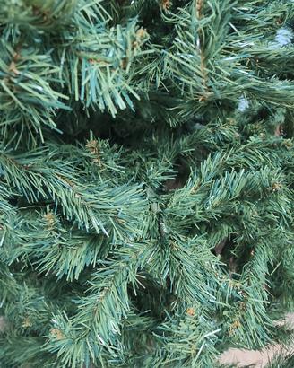 Albero di Natale Abete Artificiale Verde 1,75 cm 