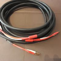 Precide mdm ace speaker cable 