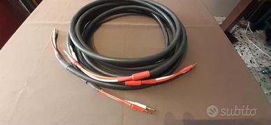 Precide mdm ace speaker cable 