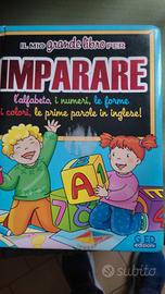 Il mio grande libro per imparare 