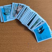 Figurine Animali nei 5 continenti 1997