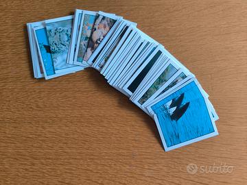 Figurine Animali nei 5 continenti 1997