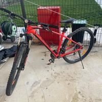 mountine bike